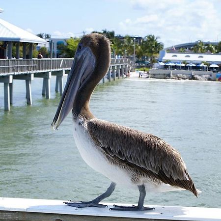 Manatee Bay Inn Fort Myers Beach Ngoại thất bức ảnh