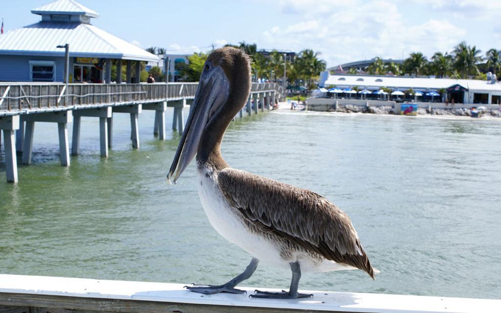 Manatee Bay Inn Fort Myers Beach Ngoại thất bức ảnh